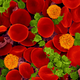 Illustration for article titled The Astounding And Horrific World As Seen Under A Microscope